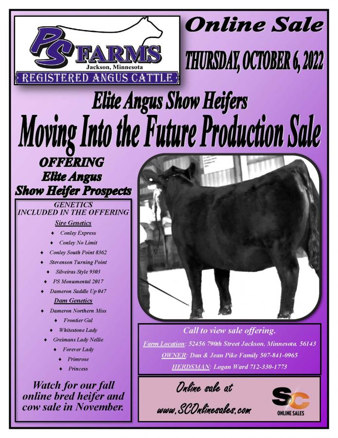 PS Farms Angus Online Elite Angus Show Heifer Moving Into the Future Production Sale